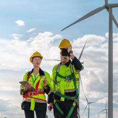 Collection image for: Renewable Energy